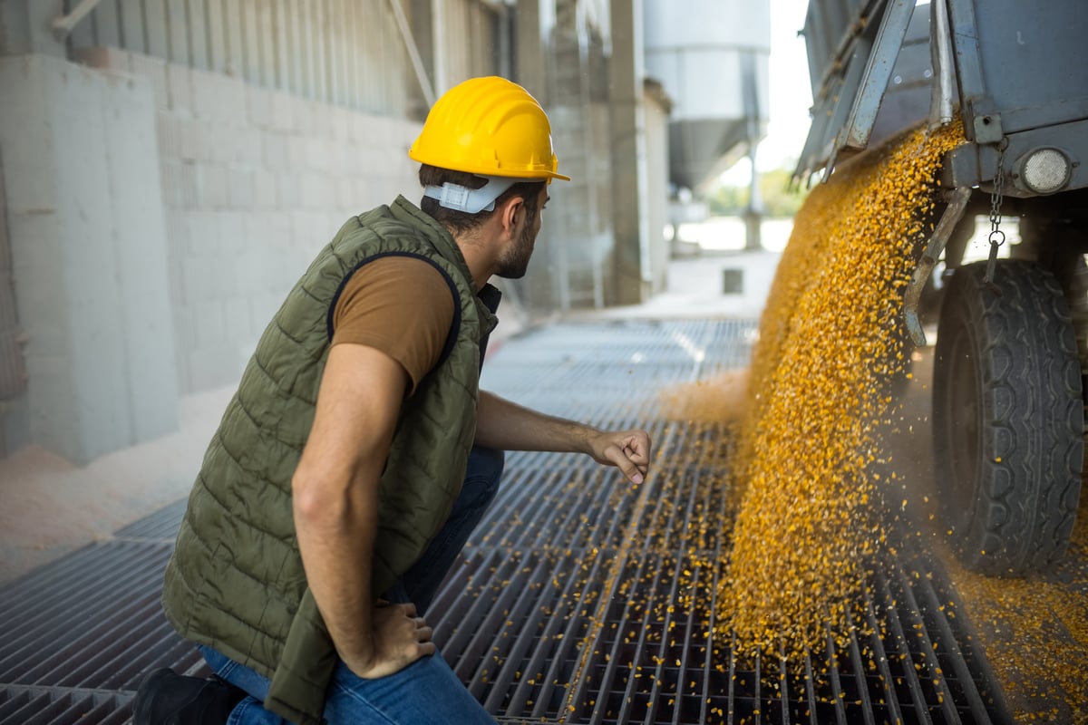 Truck unloading corn at collection point with worker